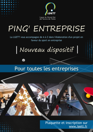 Ping__entreprise_Flyer
